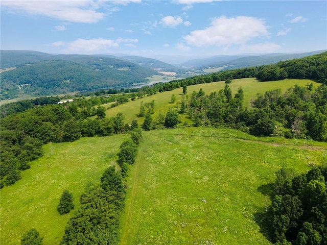 birds eye view of property with a mountain view