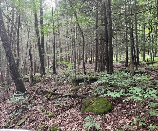 0 Lower Dingle Hill Rd, Andes NY, 13731 land for sale