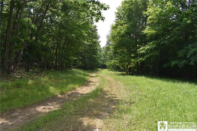0 Stoneledge Rd, North Harmony, NY 14710