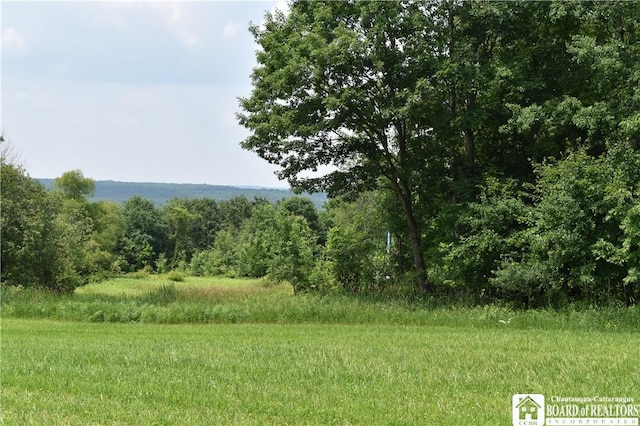 0 Stoneledge Rd, North Harmony, NY 14710