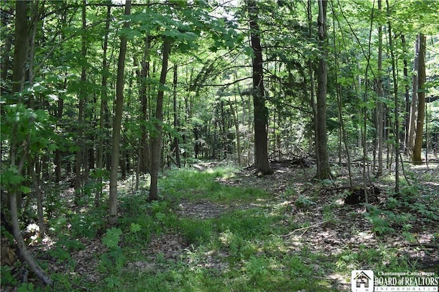 0 Stoneledge Rd, North Harmony, NY 14710