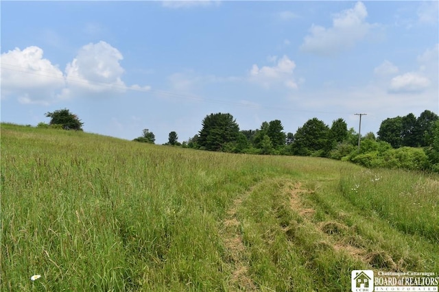 0 Stoneledge Rd, North Harmony, NY 14710