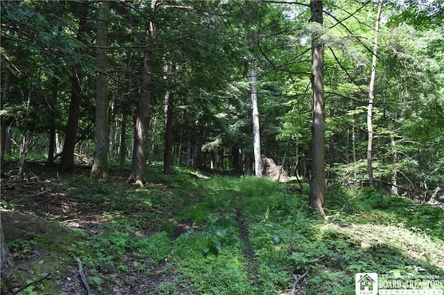 0 Stoneledge Rd, North Harmony, NY 14710