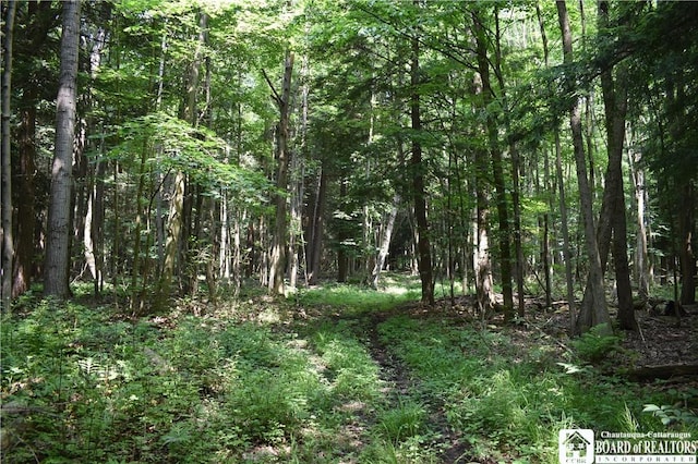 0 Stoneledge Rd, North Harmony, NY 14710