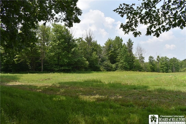 0 Stoneledge Rd, North Harmony, NY 14710