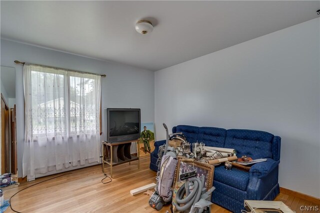 living room featuring hardwood / wood-style floors