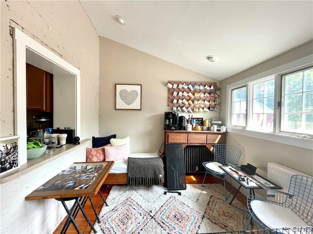 interior space featuring radiator heating unit and lofted ceiling