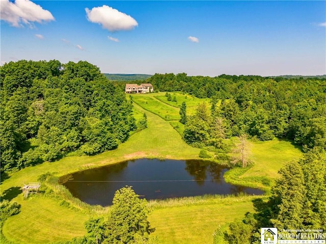 bird's eye view featuring a water view