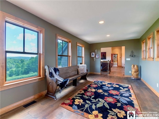 living room featuring hardwood / wood-style flooring