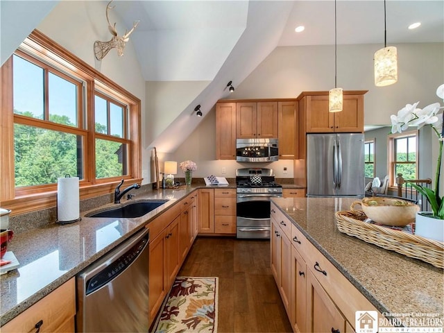 kitchen with dark hardwood / wood-style flooring, stainless steel appliances, sink, decorative light fixtures, and stone counters