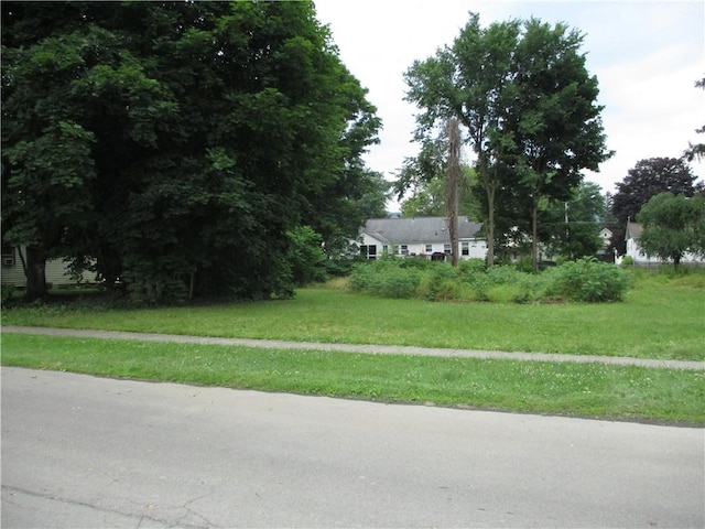 38 Grove Ave, Norwich, NY 13815 - photo 2
