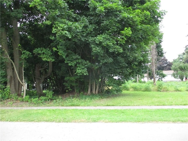 38 Grove Ave, Norwich, NY 13815 - photo 3