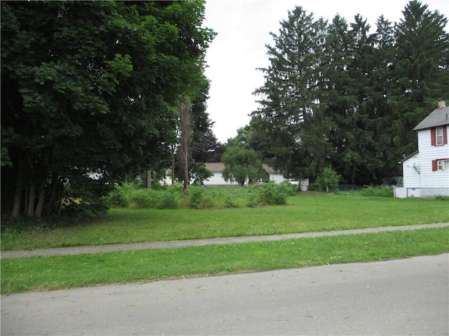 38 Grove Ave, Norwich, NY 13815 - photo 4