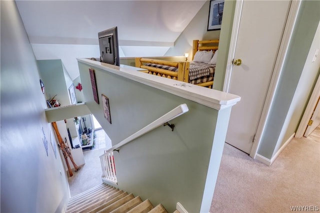 stairs featuring carpet floors