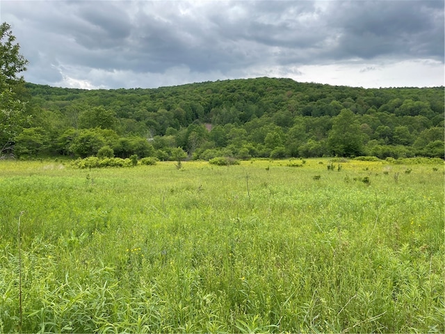 0 County Highway 33, Kortright NY, 13739 land for sale