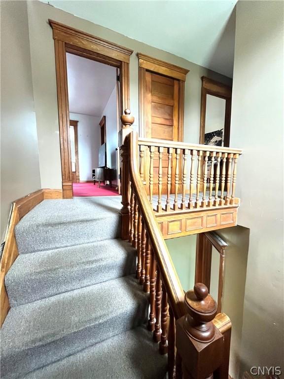 stairs featuring carpet flooring