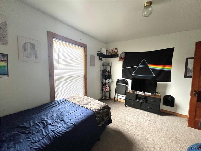 bedroom with carpet flooring