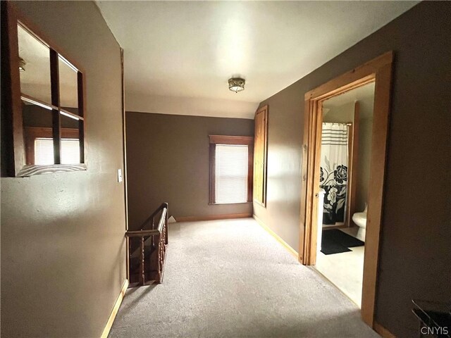 hallway featuring carpet floors and a wealth of natural light