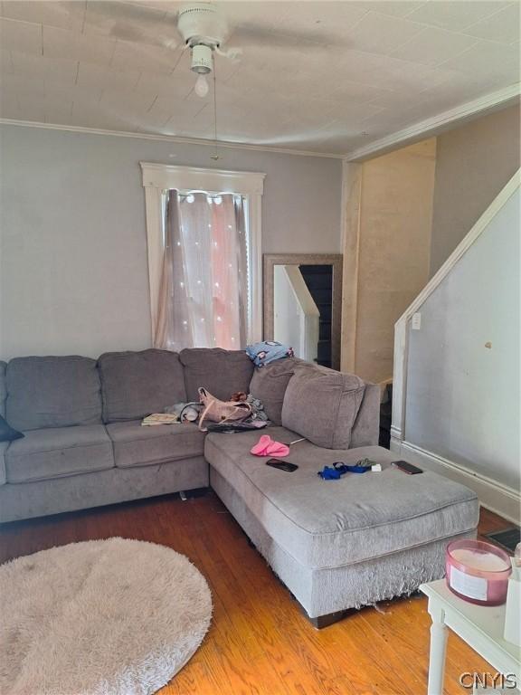 living room featuring hardwood / wood-style floors and ornamental molding