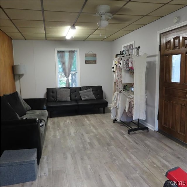 living room featuring a drop ceiling, ceiling fan, and light wood-type flooring