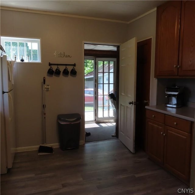 kitchen with white fridge, crown molding, dark wood-type flooring, and a wealth of natural light