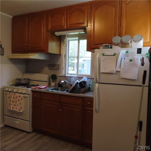 kitchen featuring hardwood / wood-style flooring, white appliances, and sink