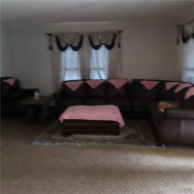 living room featuring carpet