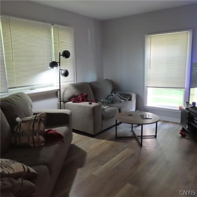 living room with light wood-type flooring