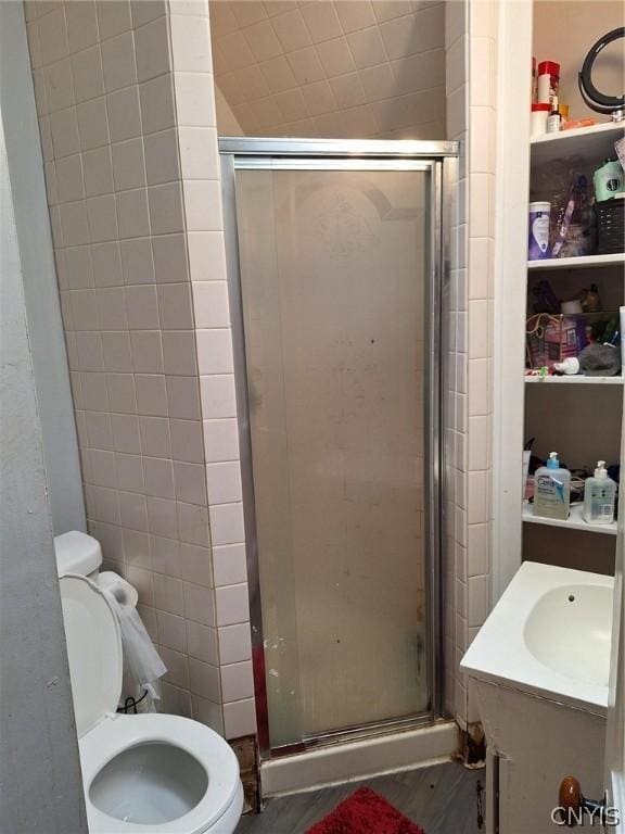 bathroom with vanity, toilet, and a shower with door