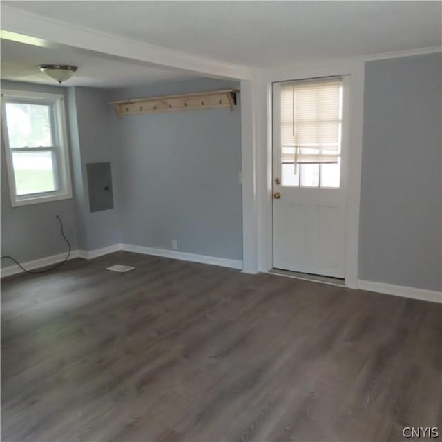 empty room featuring electric panel and dark hardwood / wood-style floors