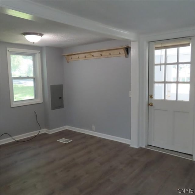 interior space featuring electric panel, a wealth of natural light, and dark wood-type flooring