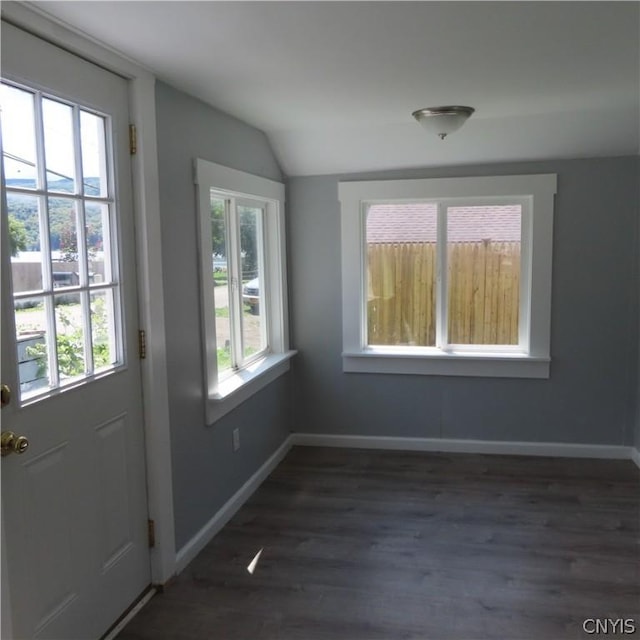 entryway featuring dark hardwood / wood-style floors, vaulted ceiling, and plenty of natural light