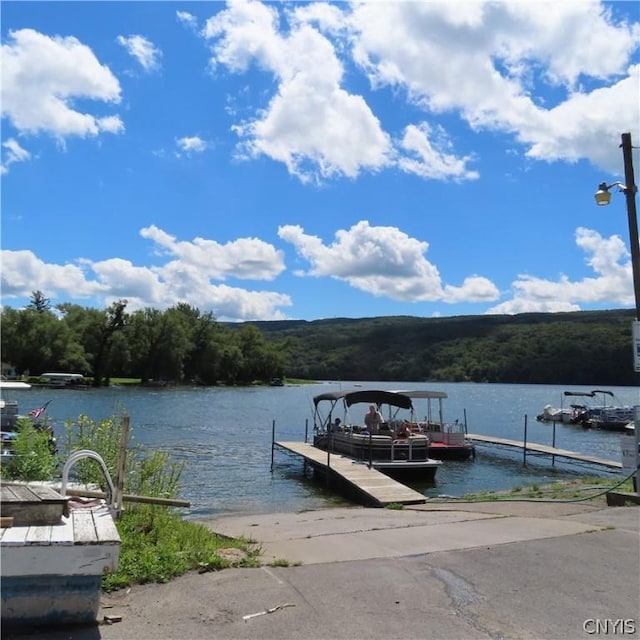 dock area featuring a water view