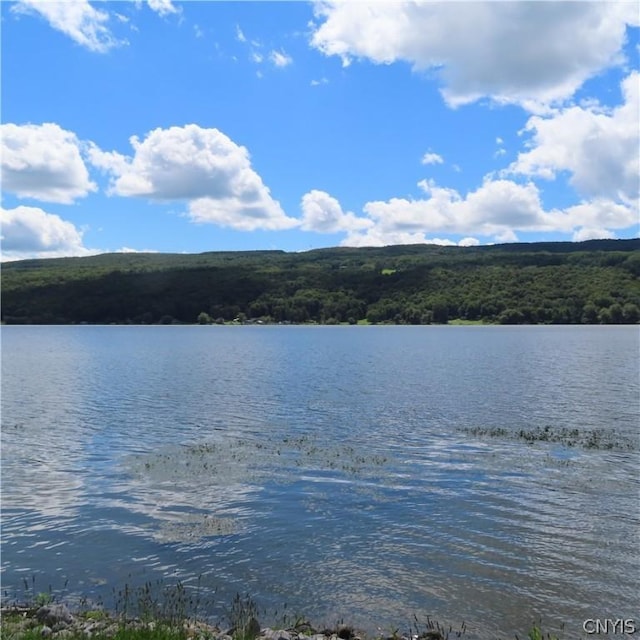 view of water feature