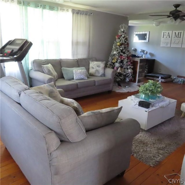 living room with ceiling fan and hardwood / wood-style flooring