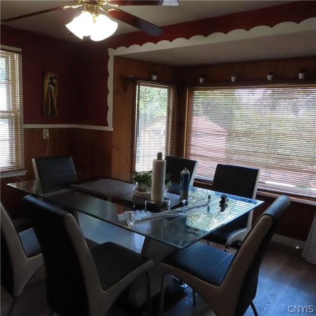 dining area featuring ceiling fan, plenty of natural light, and wood-type flooring