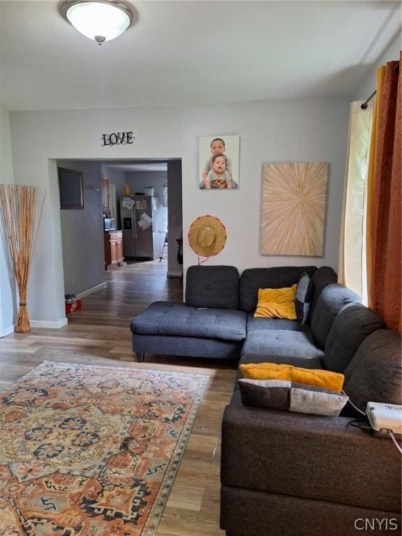 living room featuring wood-type flooring