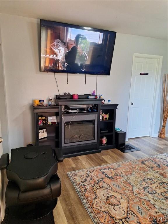 living room with hardwood / wood-style floors