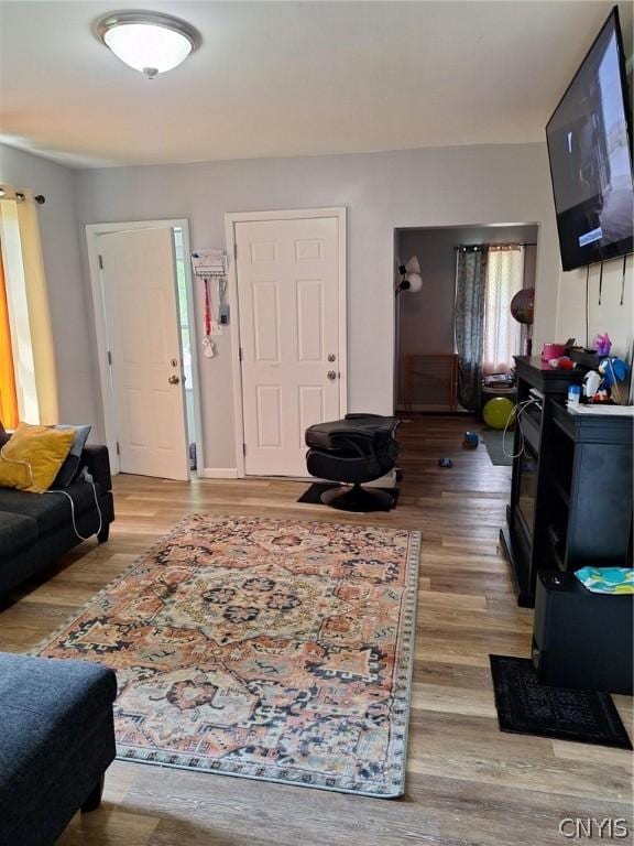 living room featuring hardwood / wood-style floors