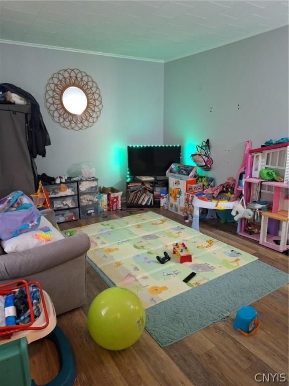 playroom with wood-type flooring and ornamental molding