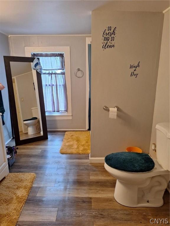 bathroom with hardwood / wood-style flooring and toilet