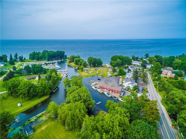 bird's eye view with a water view