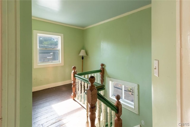 corridor with crown molding and dark hardwood / wood-style flooring