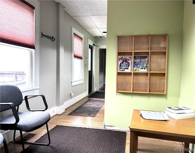 office area with hardwood / wood-style flooring and a drop ceiling