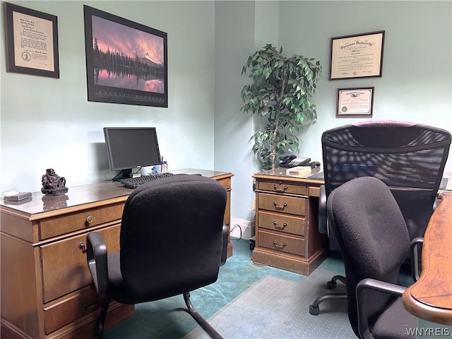 office featuring light colored carpet