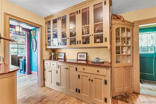 bar with light hardwood / wood-style flooring