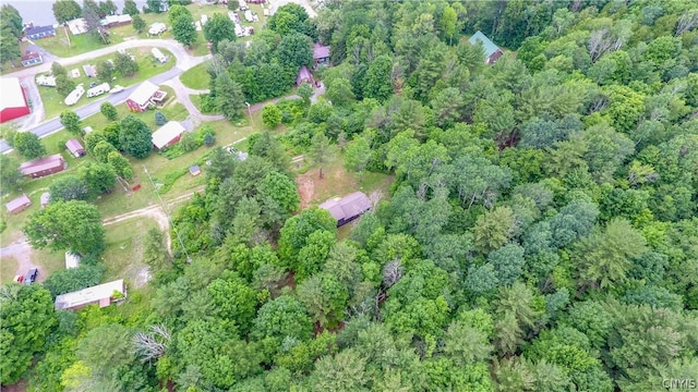 14141 Melanie Ln, Diana, NY 13648 - aerial view of property's location