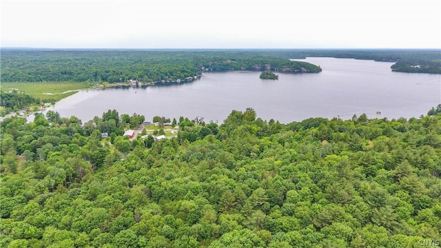 14141 Melanie Ln, Diana, NY 13648 - bird's eye view of a nearby body of water and a forest