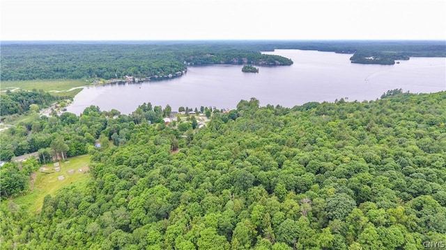 14141 Melanie Ln, Diana, NY 13648 - aerial view of a large body of water and a forest