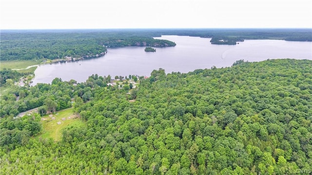 14141 Melanie Ln, Diana, NY 13648 - aerial view of a nearby body of water and a heavily wooded area